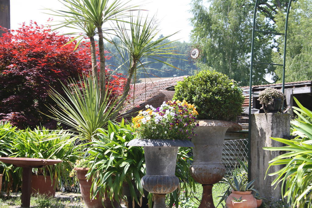 Villa Ofenhaus Murten Zimmer foto